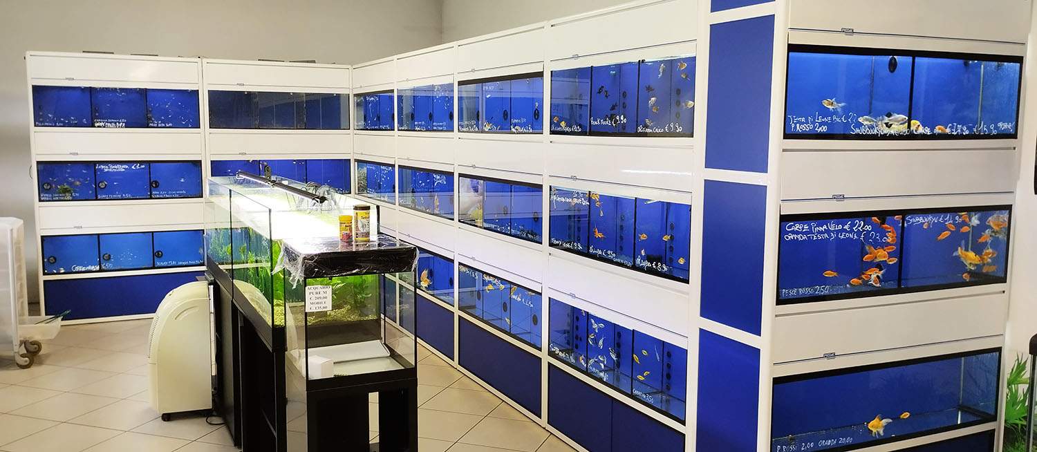 Pesci ed acquari Giacomuzzo Montecchio Maggiore